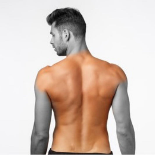Full back (Consult first)