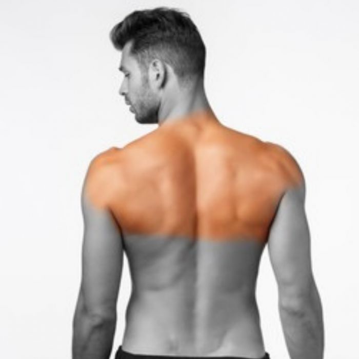 Upper back